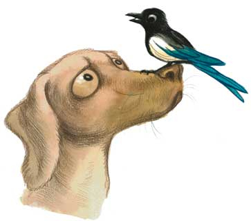 Иллюстрация к книге — Шерлок Кот. Похищенное колье [i_027.jpg]