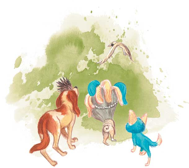 Иллюстрация к книге — Шерлок Кот. Похищенное колье [i_028.jpg]