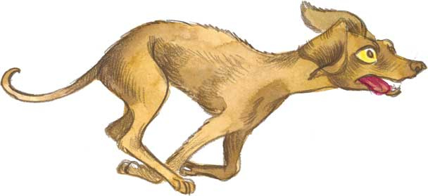 Иллюстрация к книге — Шерлок Кот. Похищенное колье [i_031.jpg]