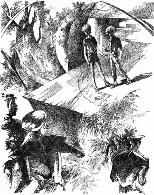 Иллюстрация к книге — Крик петуха [i_007.jpg]