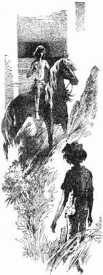 Иллюстрация к книге — Крик петуха [i_010.jpg]