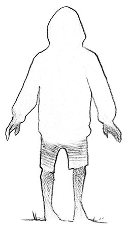 Иллюстрация к книге — Парк призраков [i_001.jpg]