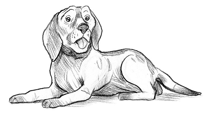 Иллюстрация к книге — Парк призраков [i_031.jpg]