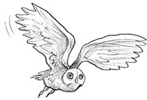 Иллюстрация к книге — Парк призраков [i_048.jpg]