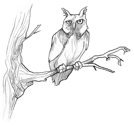 Иллюстрация к книге — Парк призраков [i_052.jpg]