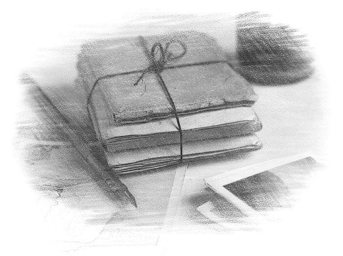 Иллюстрация к книге — Гимназистка. Под тенью белой лисы [_0fde77181b744a26ae8cd44650db28bf.jpg]