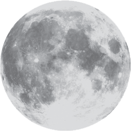 Иллюстрация к книге — Последний дом на Никчемной улице [i_001.jpg]