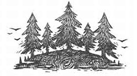 Иллюстрация к книге — Ноктамбула. Пробуждение [i_011.jpg]