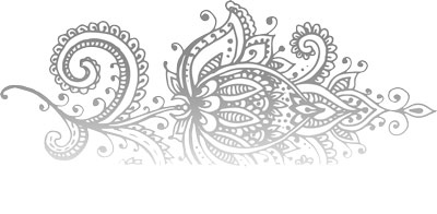 Иллюстрация к книге — Художница из Джайпура [i_001.jpg]