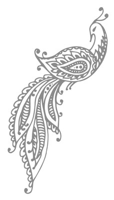 Иллюстрация к книге — Художница из Джайпура [i_002.jpg]