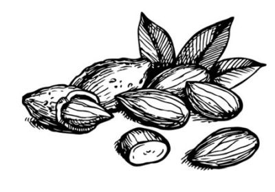 Иллюстрация к книге — Убийство со вкусом кьянти [i_030.jpg]