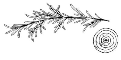 Иллюстрация к книге — Убийство со вкусом кьянти [i_036.jpg]