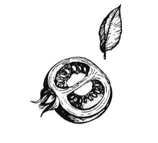 Иллюстрация к книге — Убийство со вкусом кьянти [i_041.jpg]