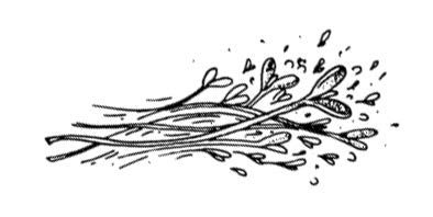 Иллюстрация к книге — Убийство со вкусом кьянти [i_051.jpg]