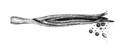 Иллюстрация к книге — Убийство со вкусом кьянти [i_053.jpg]