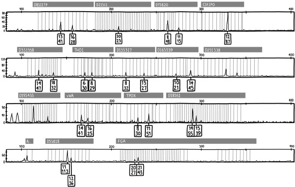Иллюстрация к книге — Математика жизни и смерти. 7 математических принципов, формирующих нашу жизнь [i_020.jpg]
