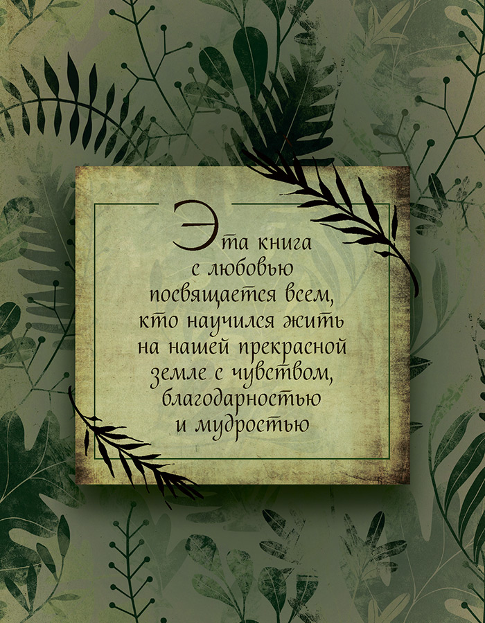 Иллюстрация к книге — Зеленая магия. Сезонные ритуалы, зельетворчество, алхимия трав [i_001.jpg]