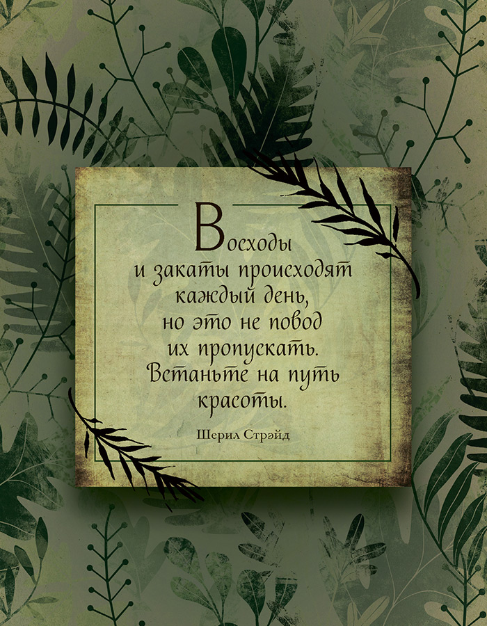 Иллюстрация к книге — Зеленая магия. Сезонные ритуалы, зельетворчество, алхимия трав [i_006.jpg]