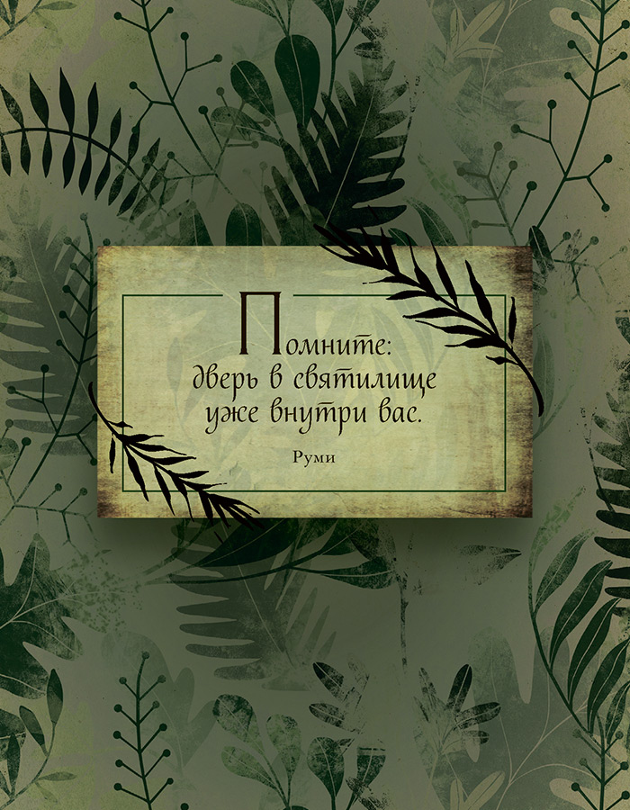 Иллюстрация к книге — Зеленая магия. Сезонные ритуалы, зельетворчество, алхимия трав [i_009.jpg]