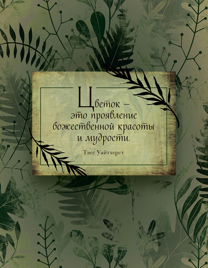 Иллюстрация к книге — Зеленая магия. Сезонные ритуалы, зельетворчество, алхимия трав [i_012.jpg]