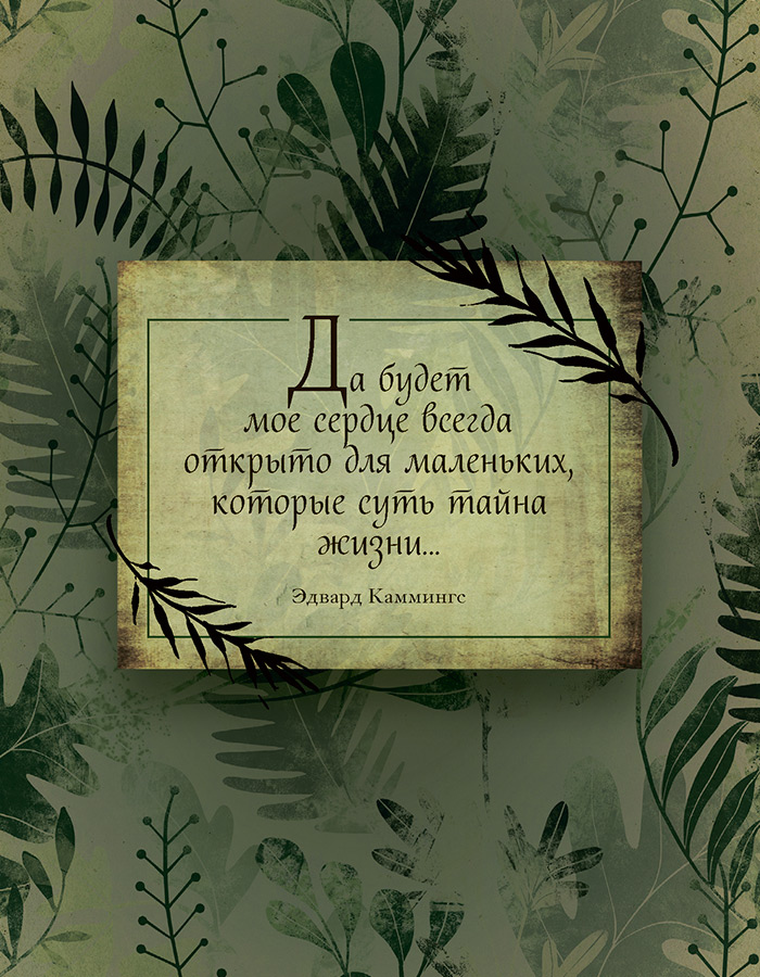 Иллюстрация к книге — Зеленая магия. Сезонные ритуалы, зельетворчество, алхимия трав [i_024.jpg]