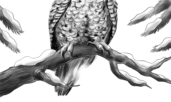 Иллюстрация к книге — Первое испытание Ноэля [i_003.jpg]