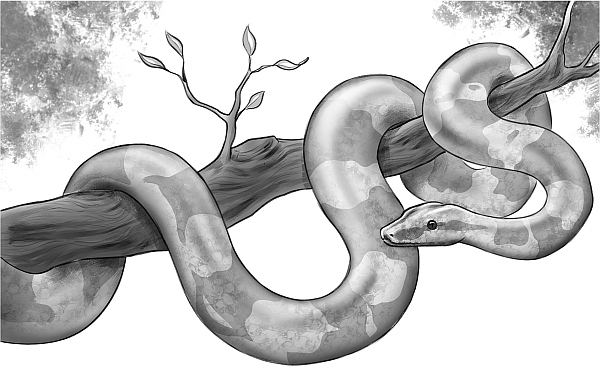 Иллюстрация к книге — Первое испытание Ноэля [i_005.jpg]