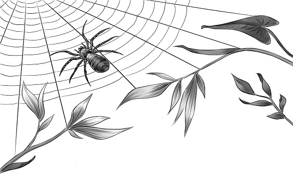 Иллюстрация к книге — Первое испытание Ноэля [i_007.jpg]