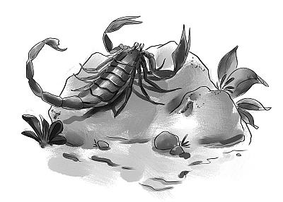 Иллюстрация к книге — Первое испытание Ноэля [i_008.jpg]