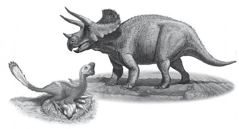 Иллюстрация к книге — Мурзозавр и Овирапторы. Гость из будущего [i_004.jpg]