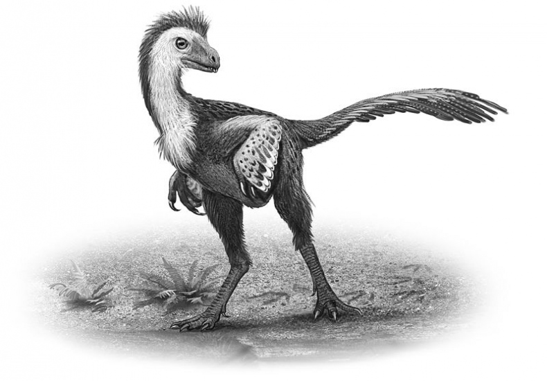 Иллюстрация к книге — Мурзозавр и Овирапторы. Гость из будущего [i_010.jpg]