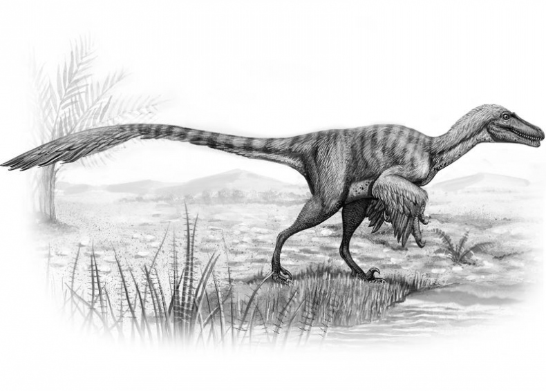 Иллюстрация к книге — Мурзозавр и Овирапторы. Гость из будущего [i_015.jpg]