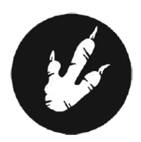 Иллюстрация к книге — Мурзозавр и Овирапторы. Гость из будущего [i_031.jpg]