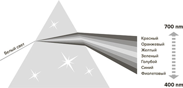 Иллюстрация к книге — Молодость навсегда. Как замедлить процессы старения и сохранить здоровье [i_025.jpg]