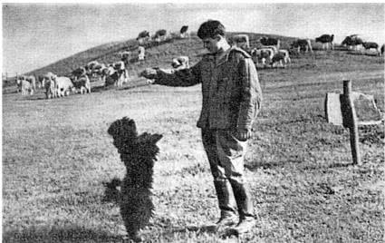 Иллюстрация к книге — Далёкие милые были [i_054.jpg]