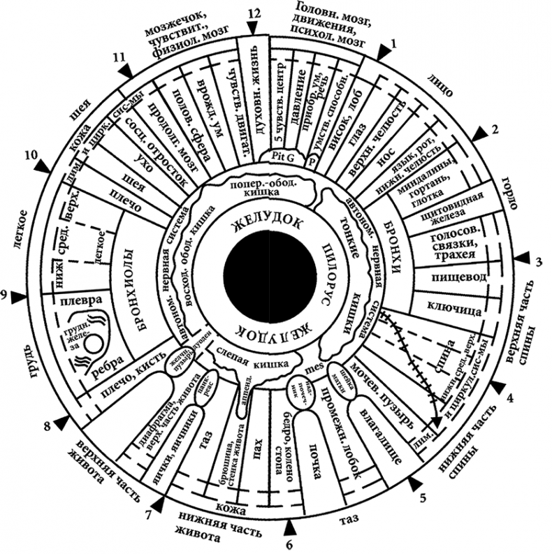 Иллюстрация к книге — Целебная натуротерапия [i_006.jpg]