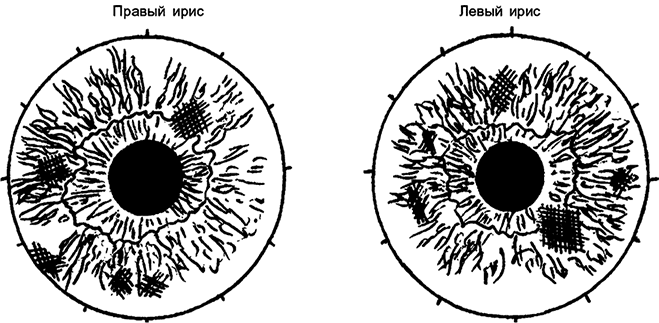 Иллюстрация к книге — Целебная натуротерапия [i_016.jpg]
