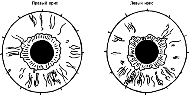 Иллюстрация к книге — Целебная натуротерапия [i_025.jpg]