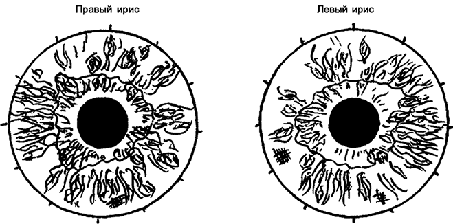 Иллюстрация к книге — Целебная натуротерапия [i_028.jpg]