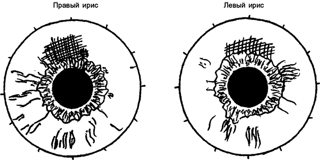Иллюстрация к книге — Целебная натуротерапия [i_030.jpg]