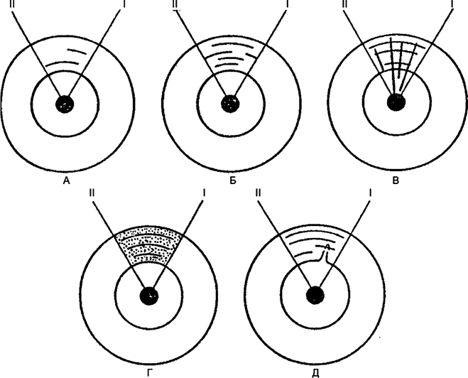 Иллюстрация к книге — Целебная натуротерапия [i_031.jpg]