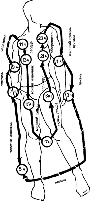Иллюстрация к книге — Целебная натуротерапия [i_065.jpg]