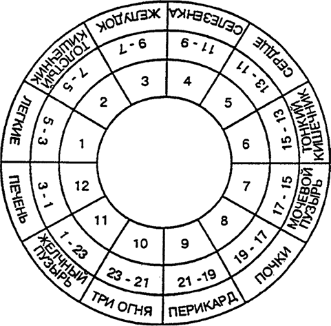 Иллюстрация к книге — Целебная натуротерапия [i_066.jpg]