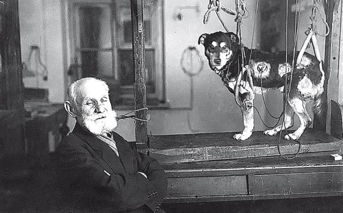 Иллюстрация к книге — Российская миссия. Забытая история о том, как Америка спасла Советский Союз от гибели [i_047.jpg]