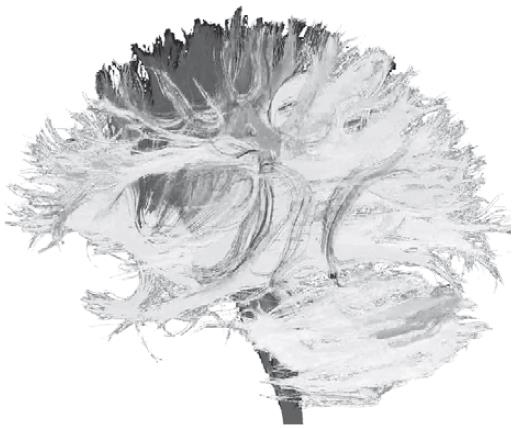 Иллюстрация к книге — Взламывая психиатрию [i_005.jpg]