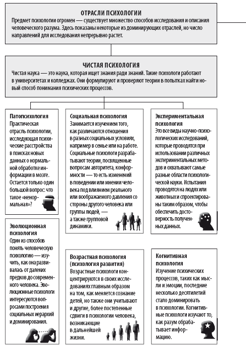 Иллюстрация к книге — Взламывая психиатрию [i_006.jpg]