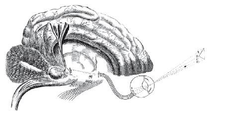 Иллюстрация к книге — Взламывая психиатрию [i_024.jpg]