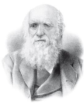 Иллюстрация к книге — Взламывая психиатрию [i_050.jpg]