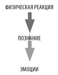 Иллюстрация к книге — Взламывая психиатрию [i_070.jpg]