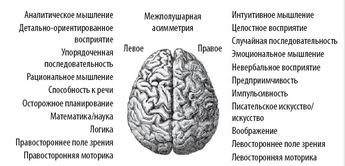 Иллюстрация к книге — Взламывая психиатрию [i_073.jpg]